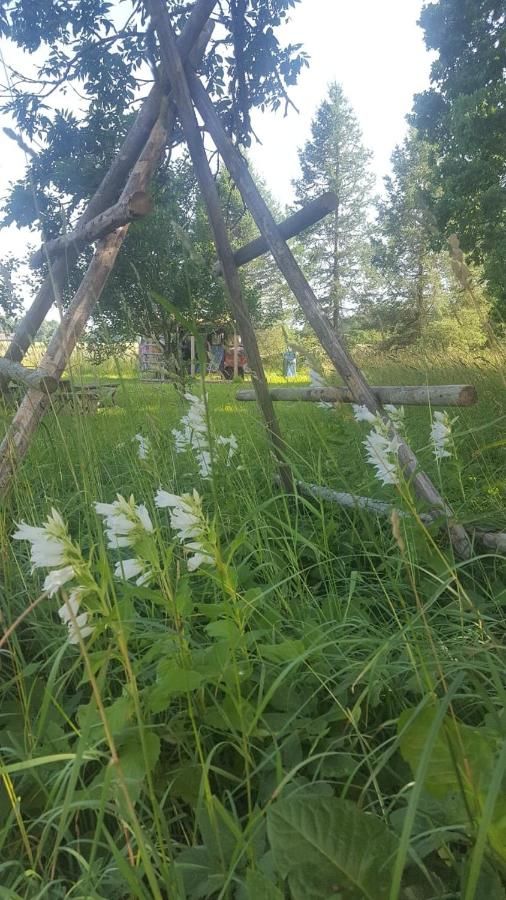 Отели типа «постель и завтрак» Abelites Paradies Apfelbaum Naukšēni-15